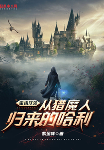霍格沃茨：从猎魔人归来的哈利