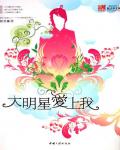 大明星爱上我