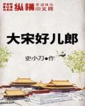 大宋好儿郎