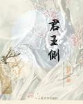 君王侧