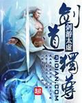 剑道独尊