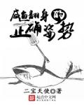 我的绝色美女房客